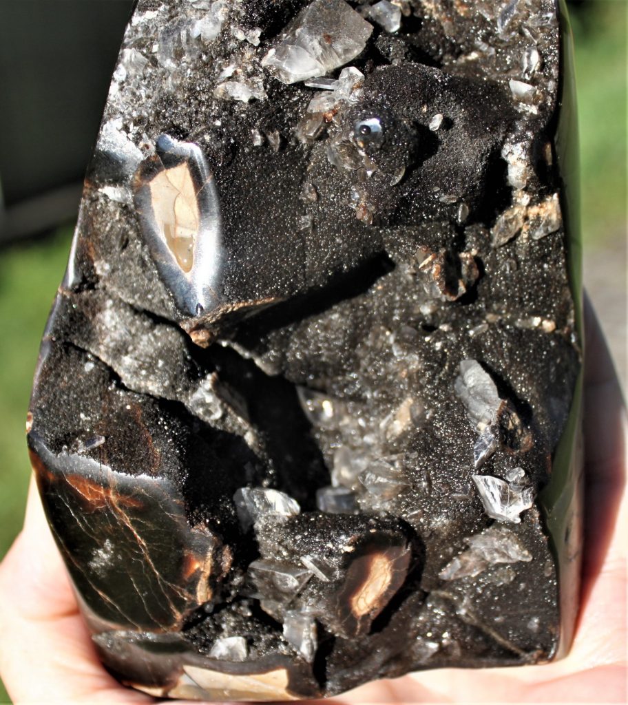 Septerye "Dragon Egg"