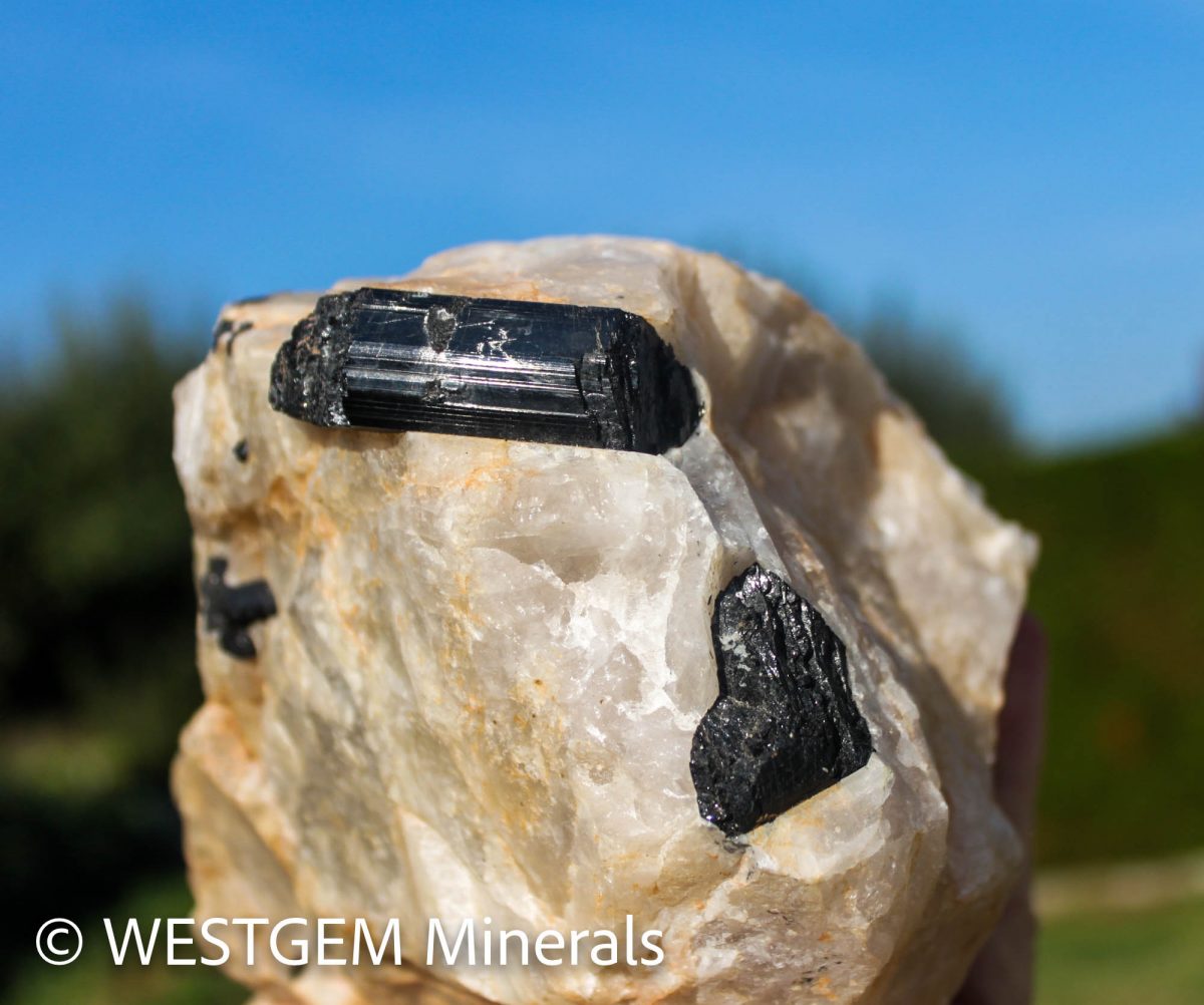 Schwarze Turmaline xx - Doce Valley