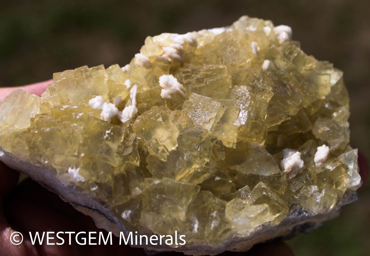 Fluorite jaune xx Baryte xx