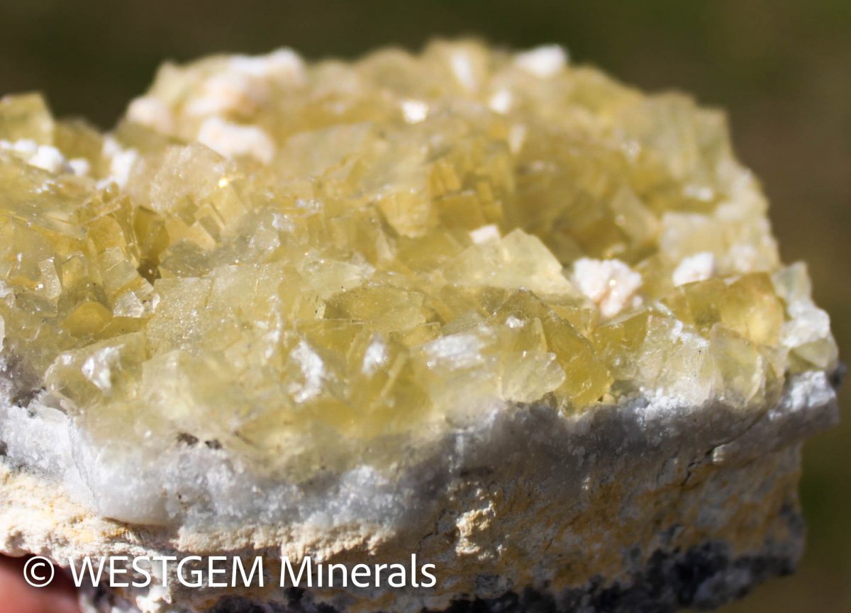 Fluorite jaune xx Baryte xx
