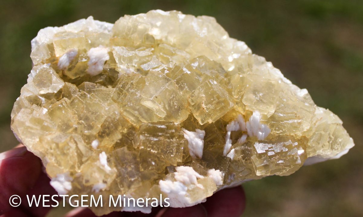 Fluorite jaune xx Baryte xx