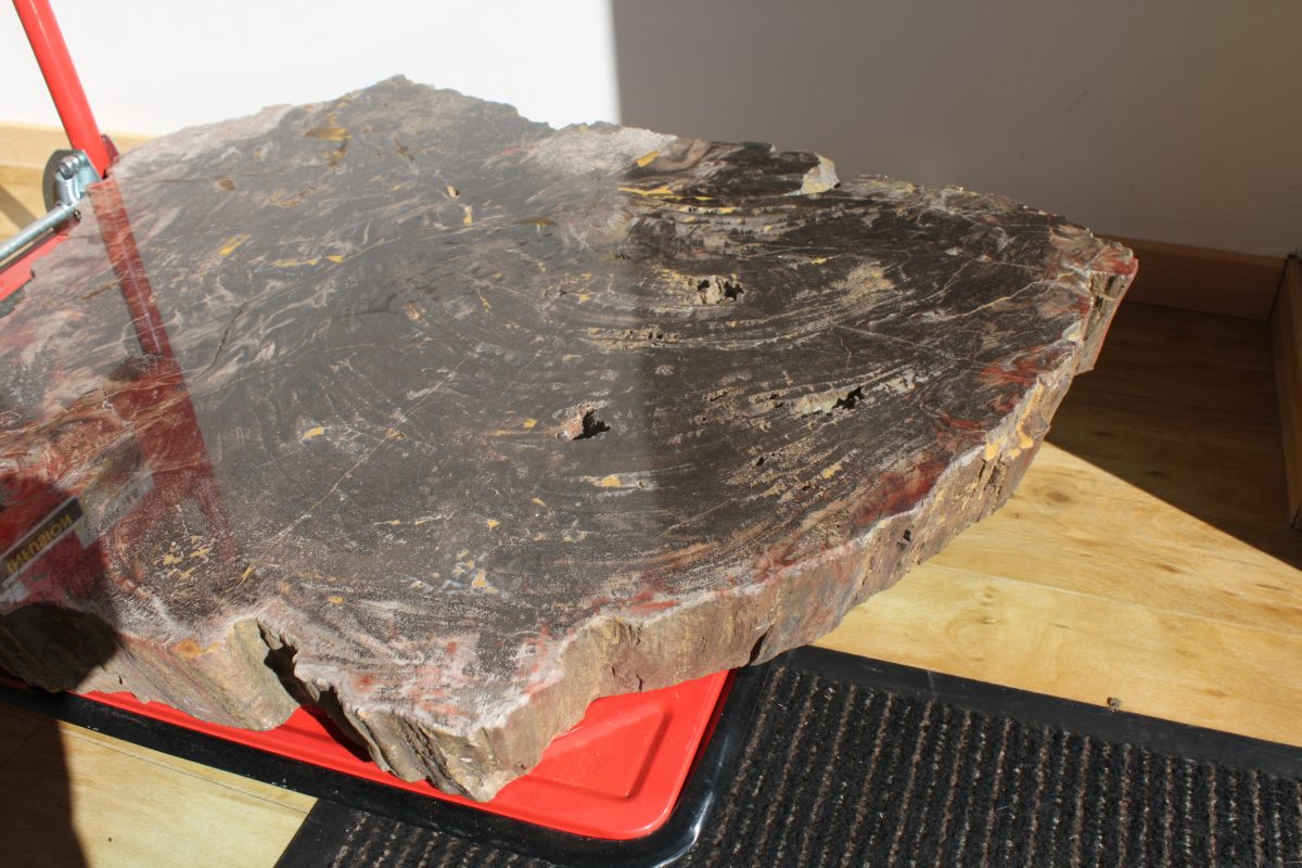 Spezial - Petrified Wood - URAL