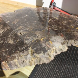 Spécial - Petrified Wood - URAL
