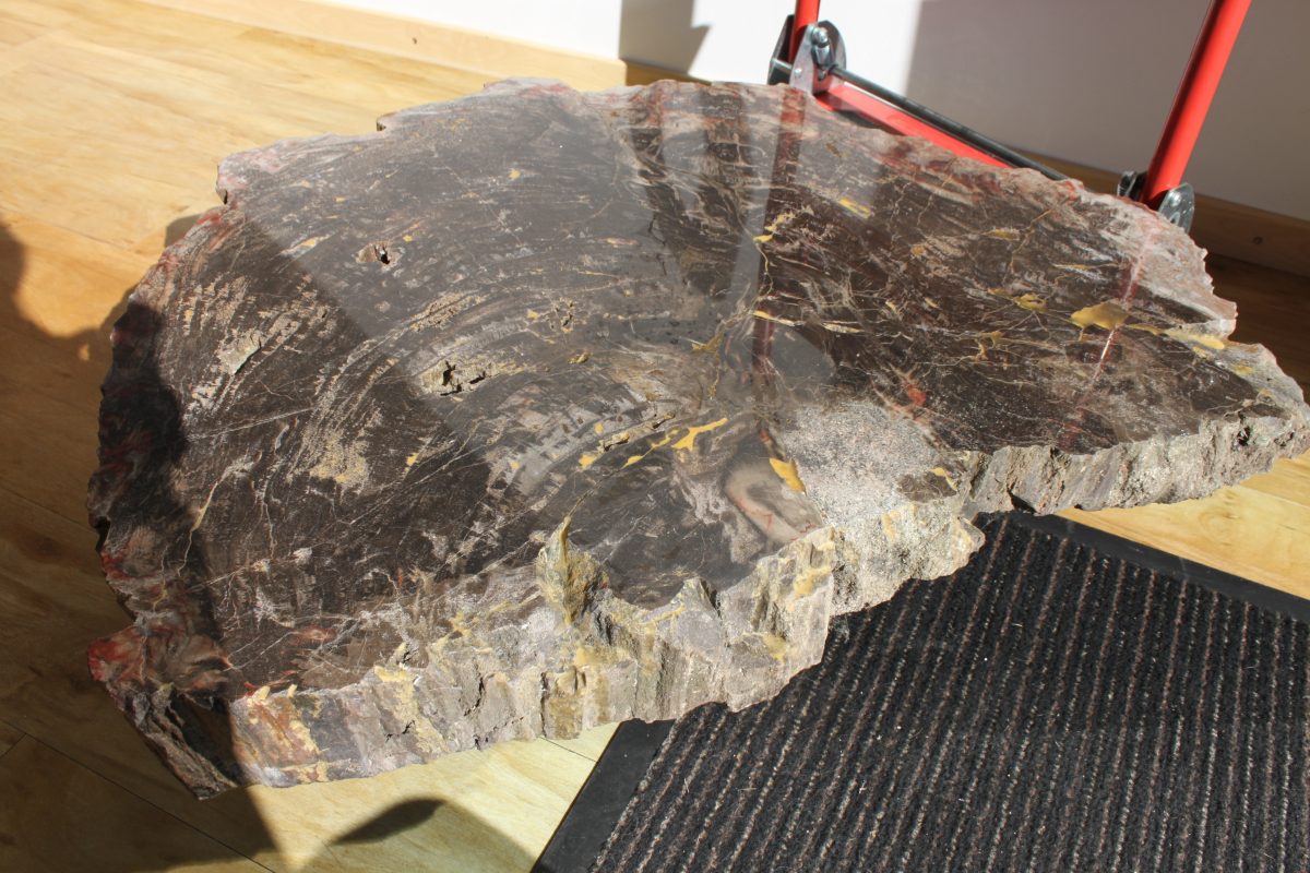 Spezial - Petrified Wood - URAL