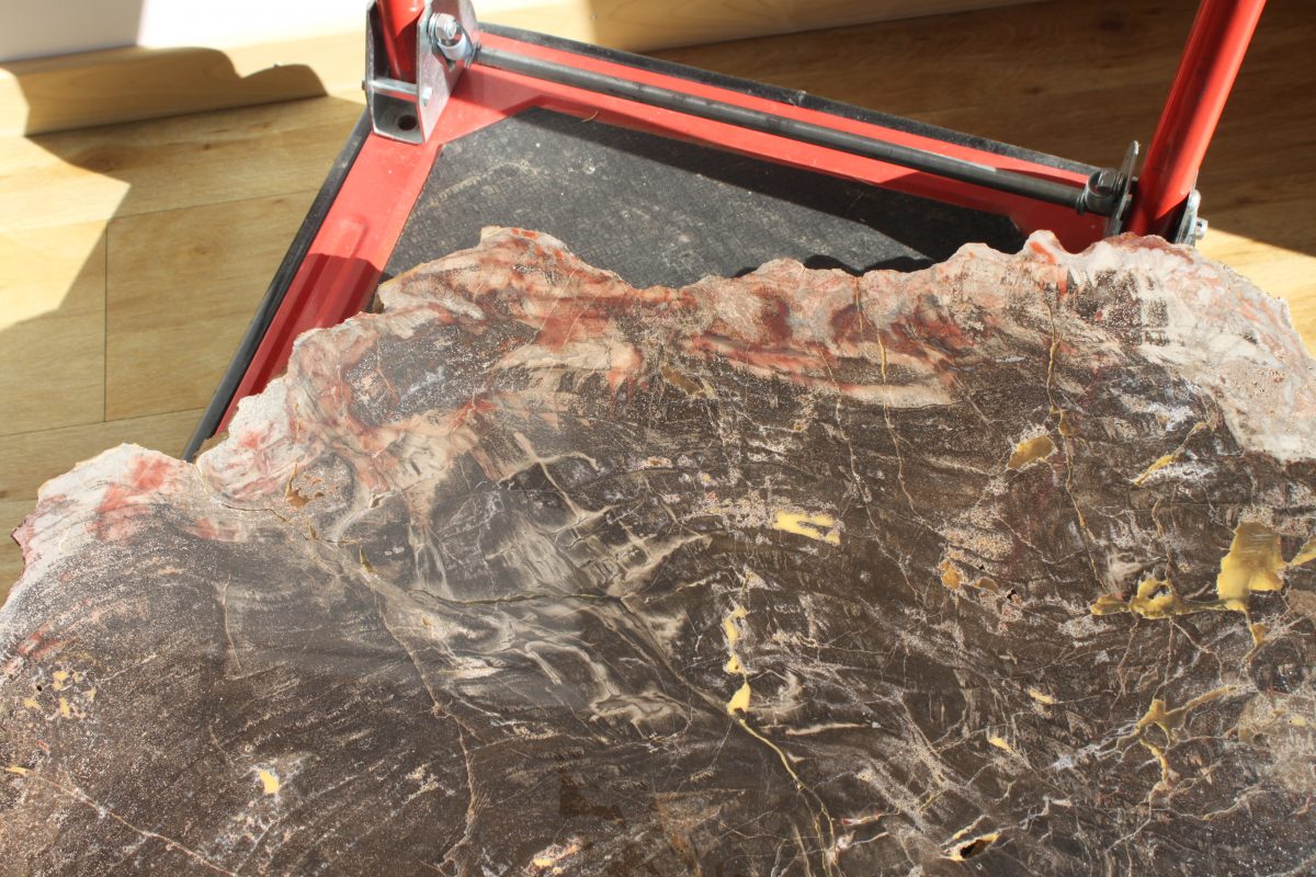 Spezial - Petrified Wood - URAL
