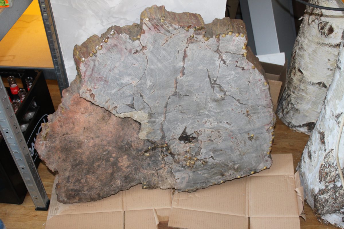 Spezial - Petrified Wood - URAL